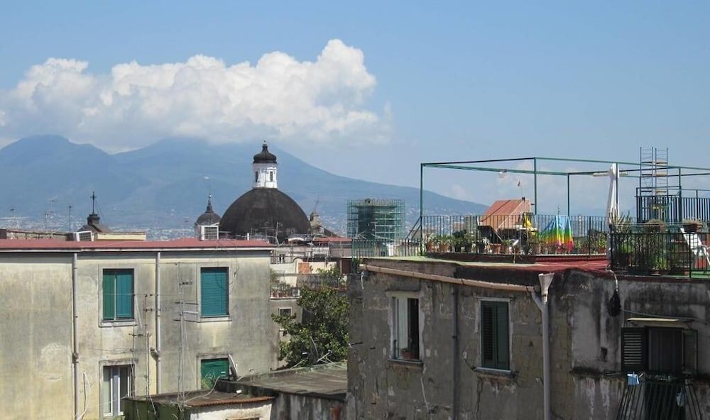 undefined Pulcinella 84 2