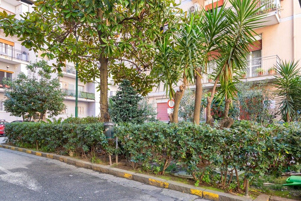 undefined Bright flat next to the Vomero 3