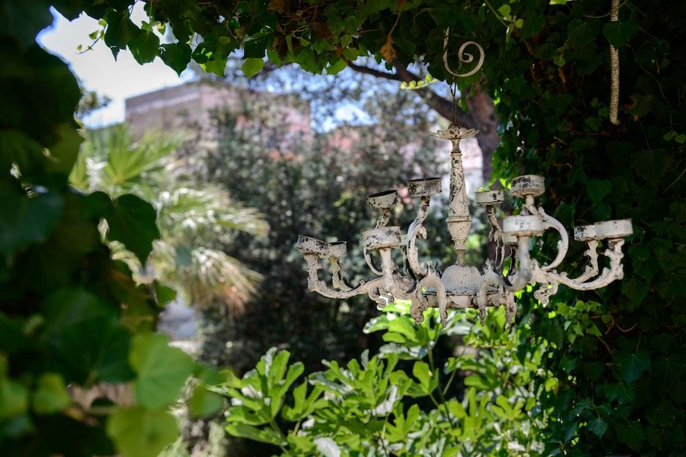 undefined Giardino Segreto - Via Foria 216 Ammezzato 2