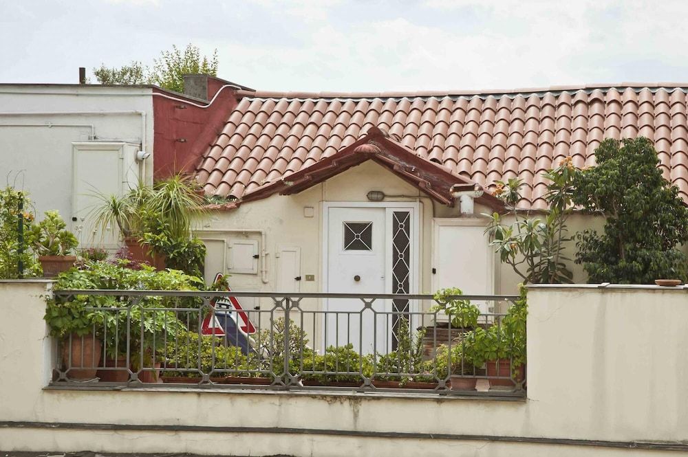 undefined Napul Morelli Rooftop 7 7