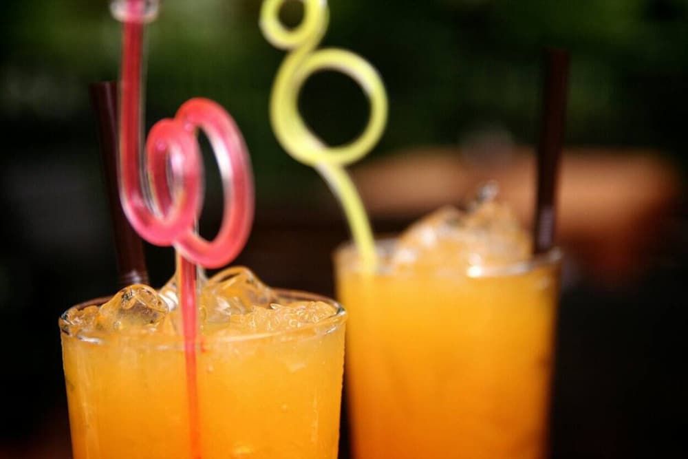 undefined Alphabeto Resort 9