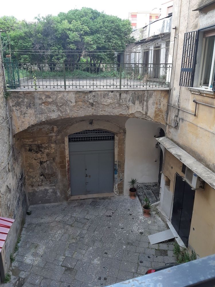 undefined Ariaviva 2