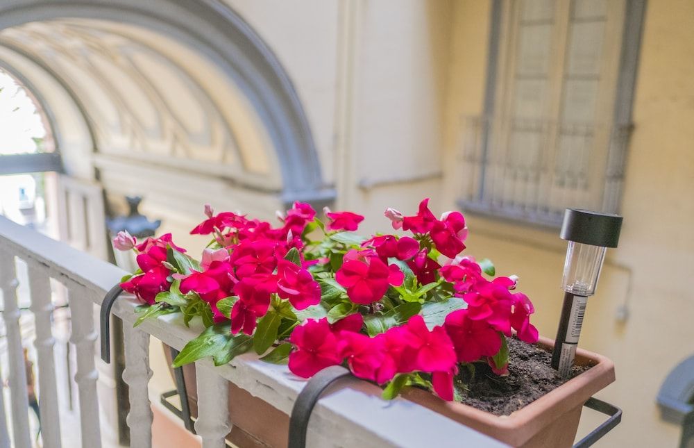 undefined Per Amor Duomo 5