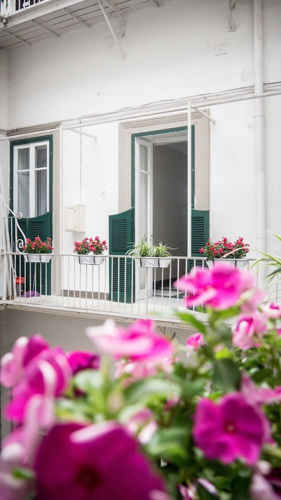 undefined Toledo Class 7