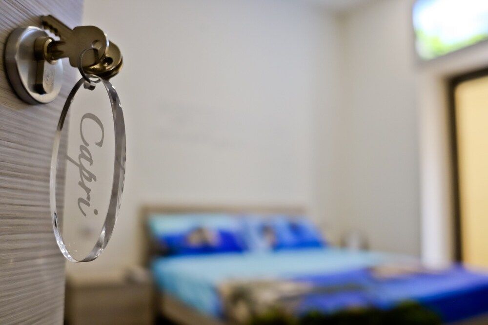 undefined B&B Pisadog 7