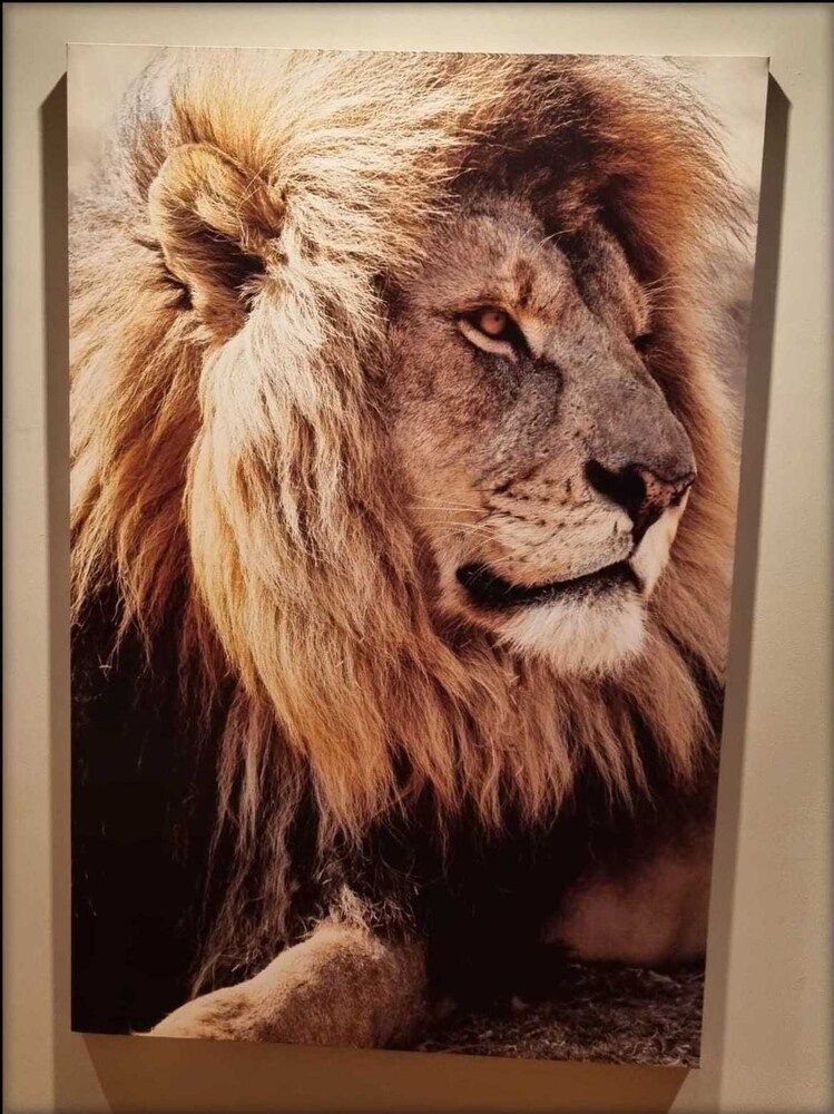 Les Jardins de Kuz Room, 1 Double Bed 4