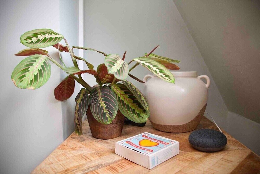 The Georgian Loft Apartment Central Bath Apartment, Private Bathroom, City View (TLA) 16