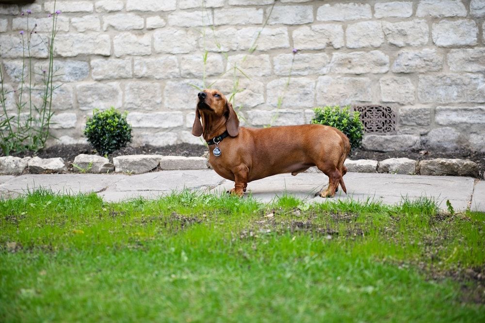 undefined Dream Stays Bath - Southbank 3