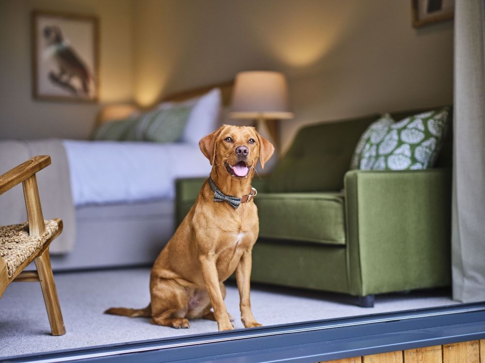 The Weeping Willow Lodges Family Cabin 3