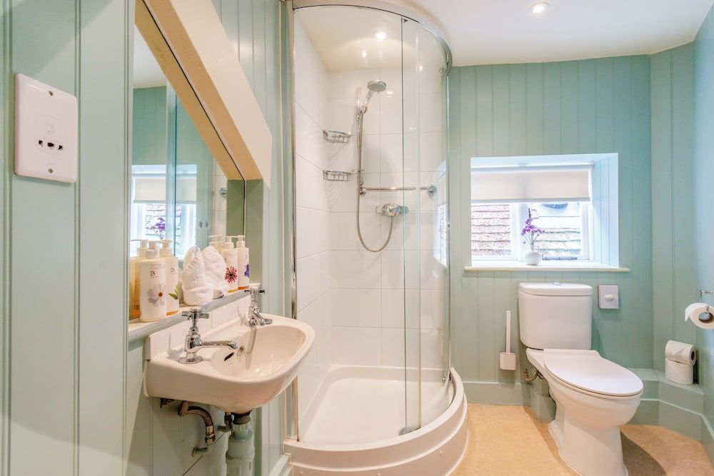 Patience - Tiger Inn Patience 6