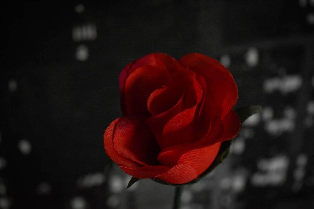 TLC Exmouth Bed and Breakfast Double Room, Ensuite (Elm) 4