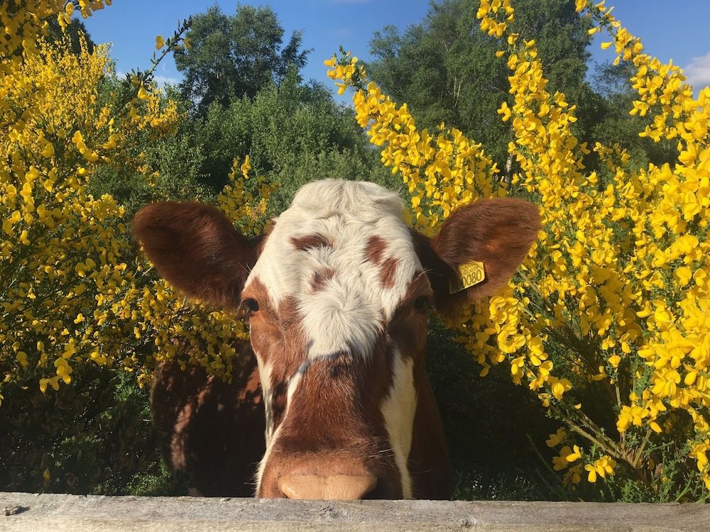 undefined Cushendall House 5