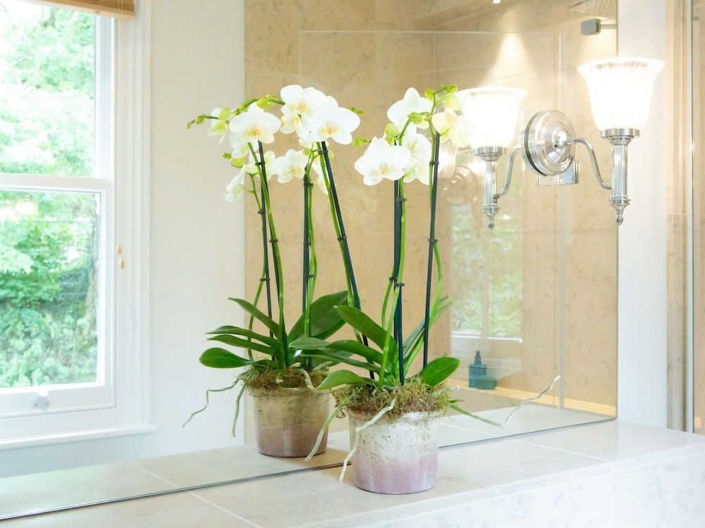 The White Horse Inn Superior Double Room, Ensuite 7