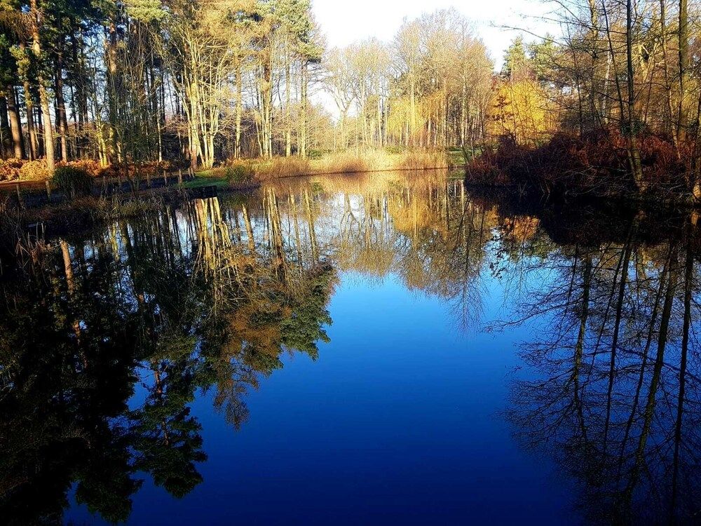 undefined Hollicarrs - Forest Retreat 6