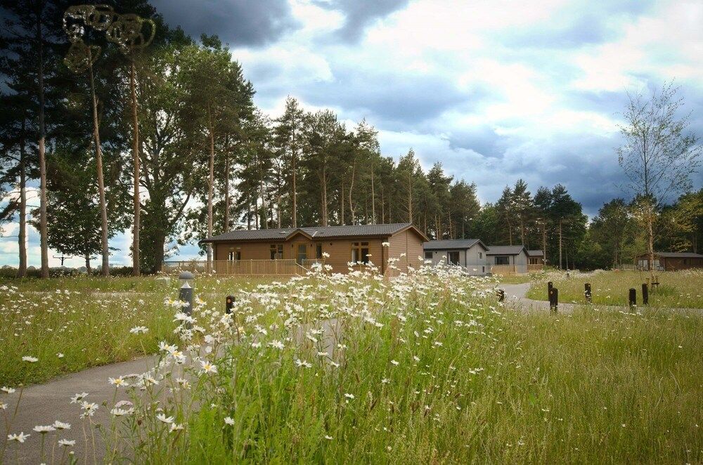 undefined Hollicarrs - Forest Retreat