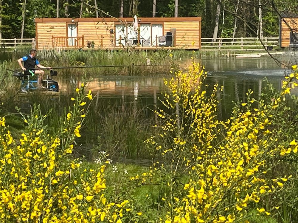 undefined Oak Boutique Lodge Includes hot Tub, air con & dog 10