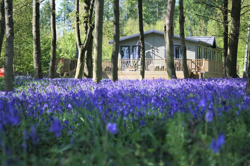 undefined Hollicarrs - Woodland Lodge 7