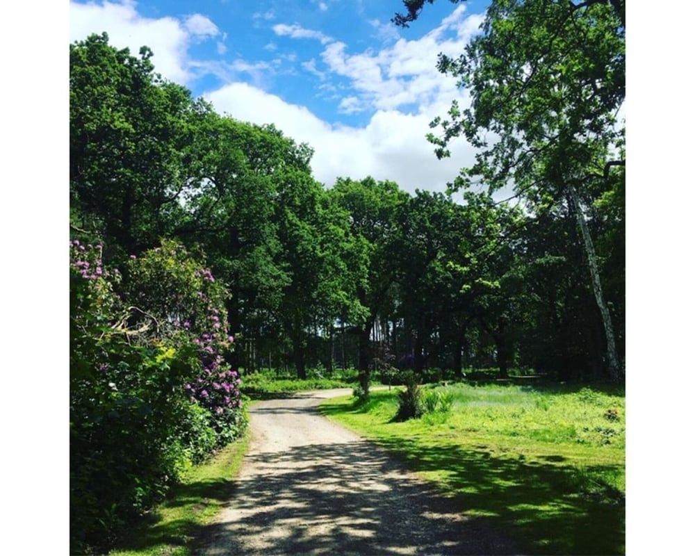 undefined Hollicarrs - Woodland Lodge 8