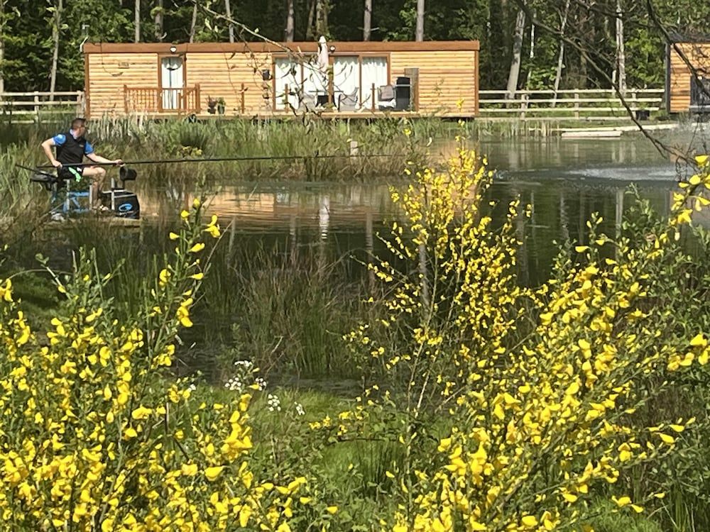 undefined Pine Boutique Lodge With hot tub for Couples & dog 6