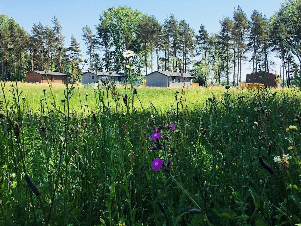 undefined Hollicarrs - Wildflower Lodge 5