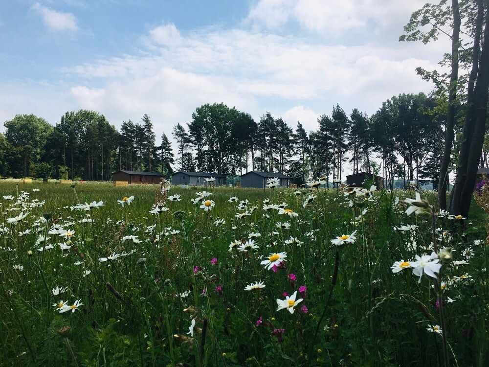 undefined Hollicarrs - Wildflower Lodge 4
