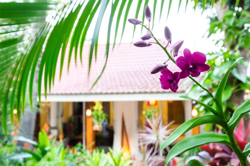 Paradise Island Estate Honeymoon Suite 8