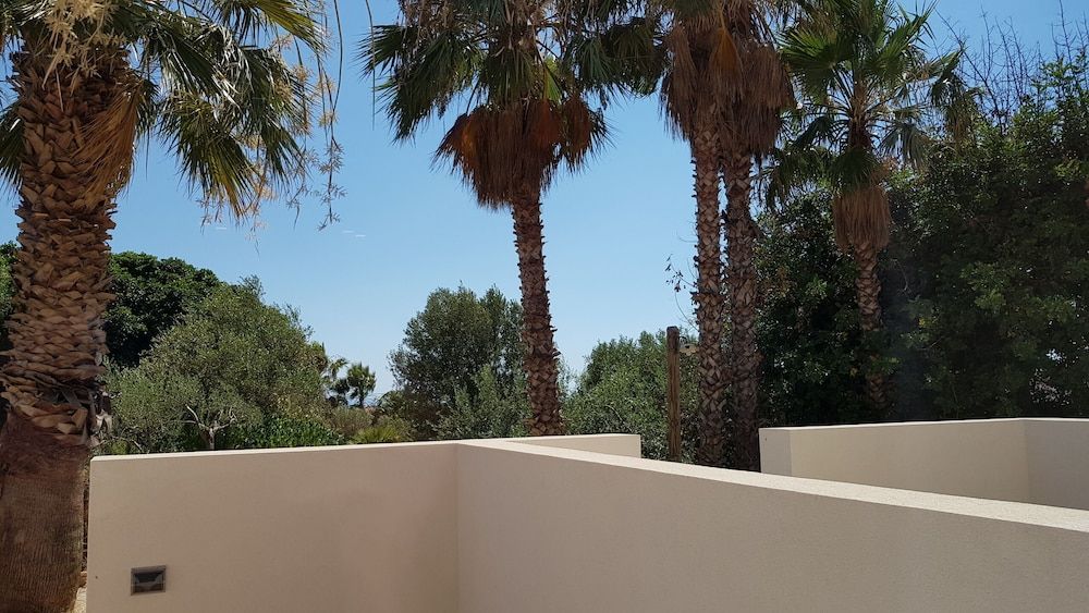 B&B Lekythos Design Suite 3