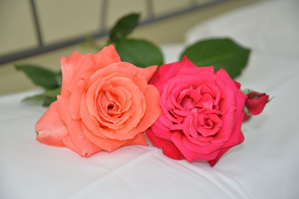 Room in Apartment - Two-room Apartment Room, 1 Bedroom, Accessible, Smoking 4