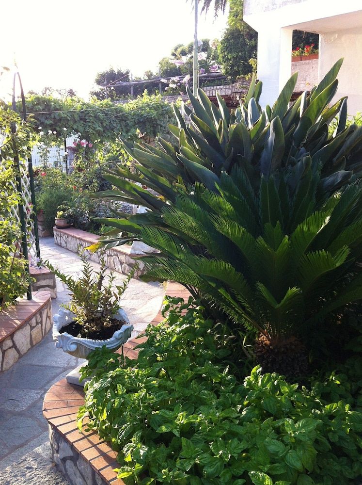 undefined B&B Palazzo a Mare 9