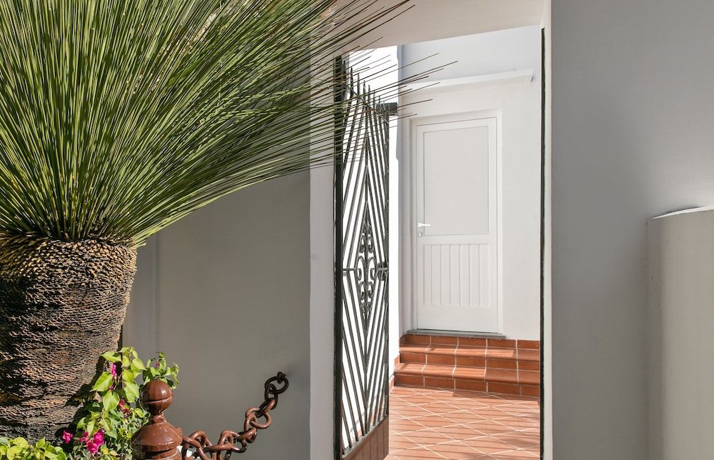 undefined Fuorlovado 40 3