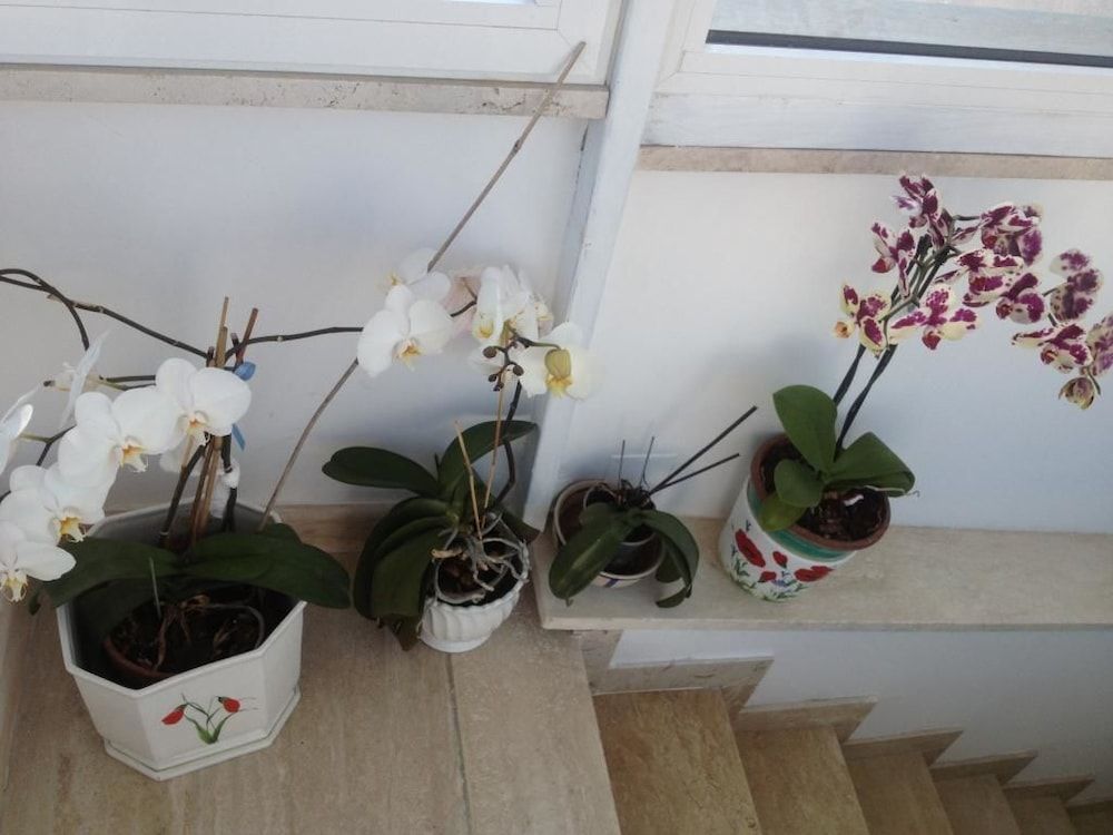 undefined Guest House La Piazzetta 3