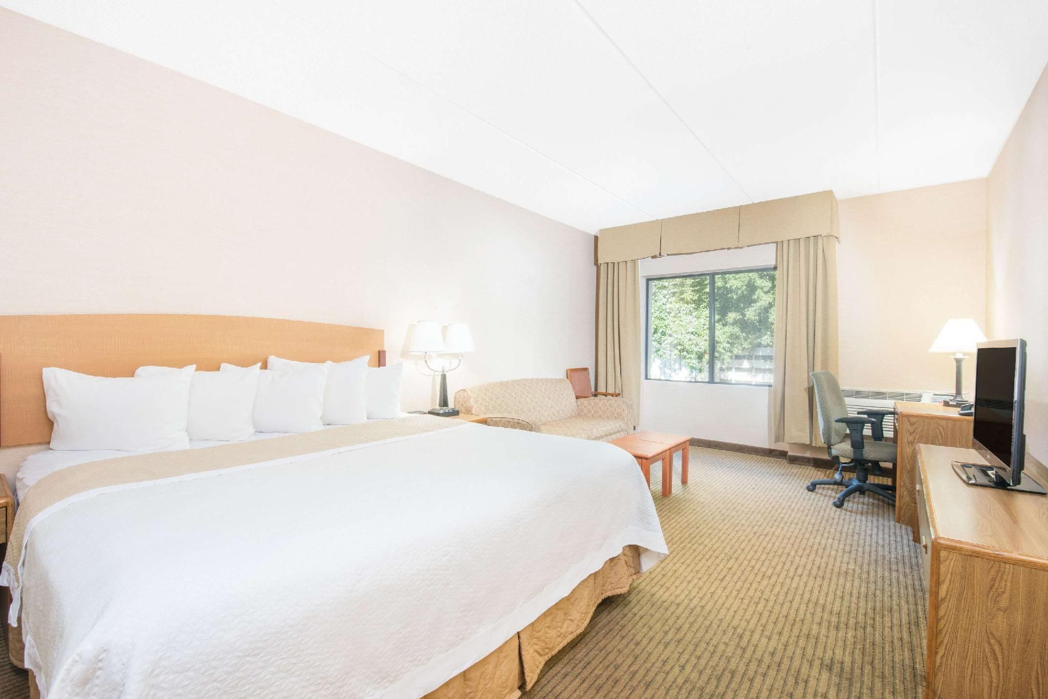 1 King Bed Limited View Non-Smoking