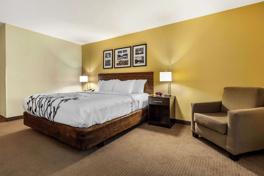 Room, 1 King Bed, Accessible, Non Smoking