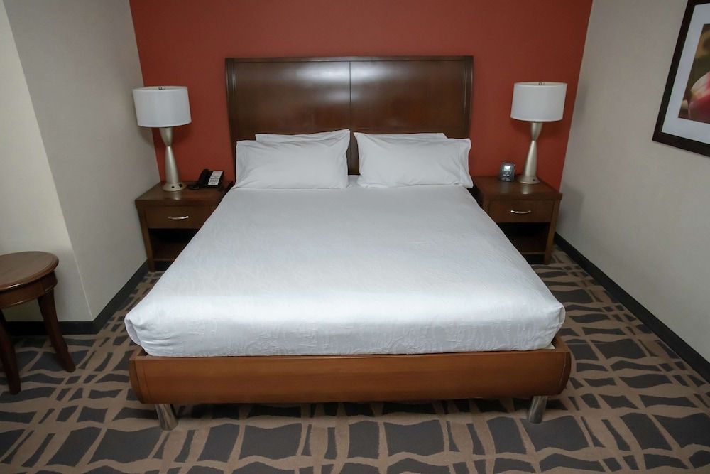 Suite, One King Bed