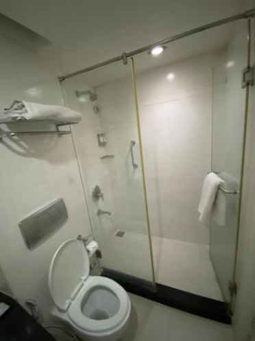 Regenta Place The Emerald Hotel Deluxe Room 2