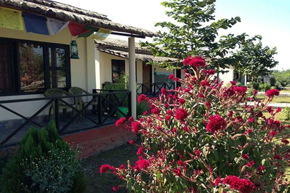 undefined Wildlife Adventure Resort 5