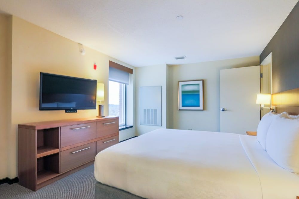 Suite, 1 King Bed