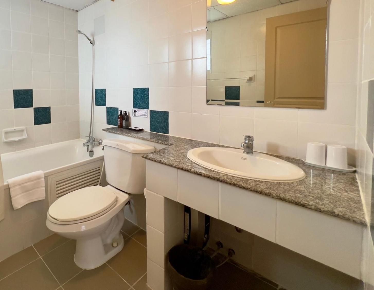 Deluxe One-Bedroom Apartment