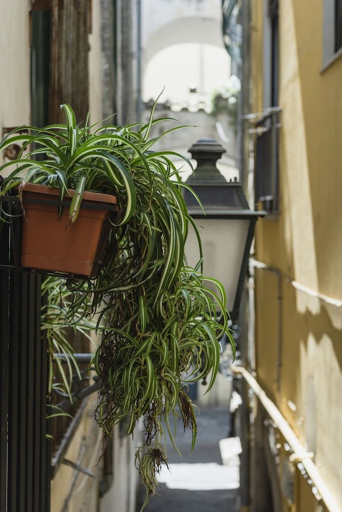 undefined La Casa degli Angeli B&B 3