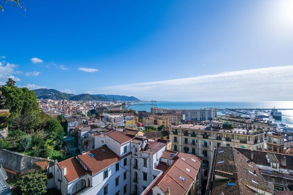 Panacea Classic Suite 11