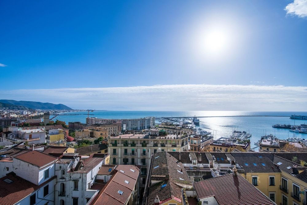 Panacea Classic Suite 10