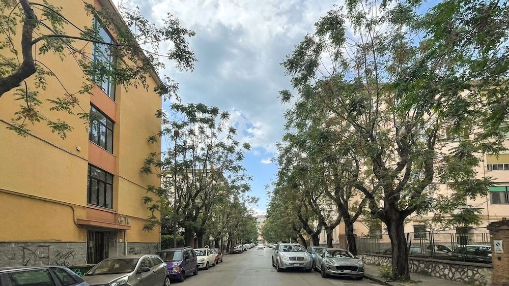 undefined Pisacane Suite 2