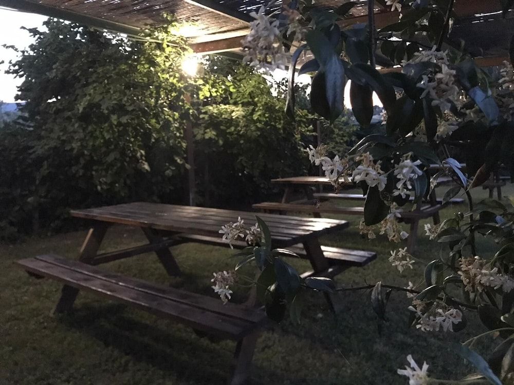 undefined Il Pettirosso di Siena 7