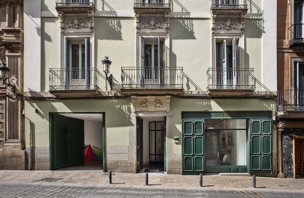 undefined One Shot Prado 4