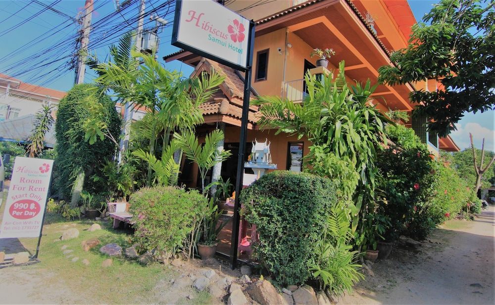 undefined Hibiscus Samui 3