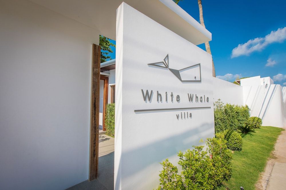 undefined White Whale Beachfront Pool Villa 3