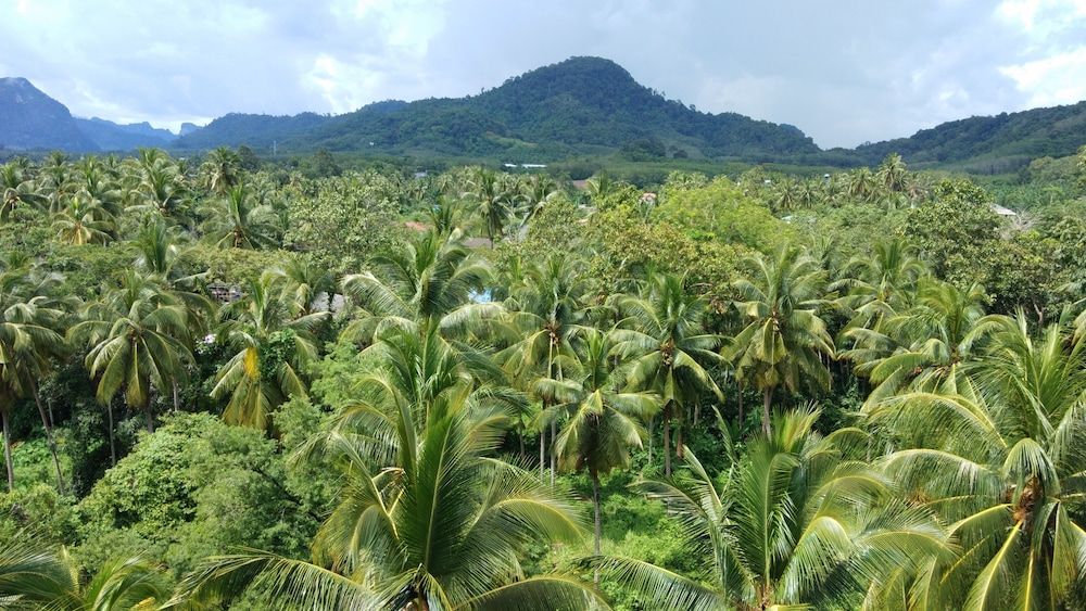 Hidayah Aonang Krabi Deluxe Room, 1 King Bed, Non Smoking 21