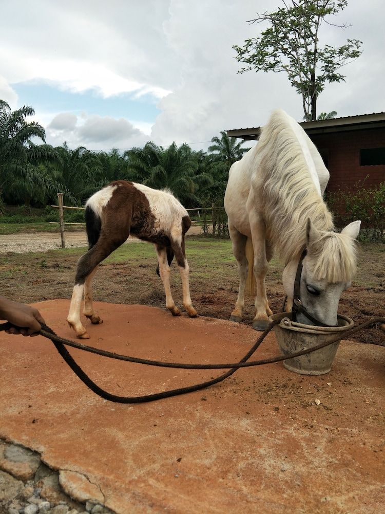 undefined Villa Ban Tanay 8