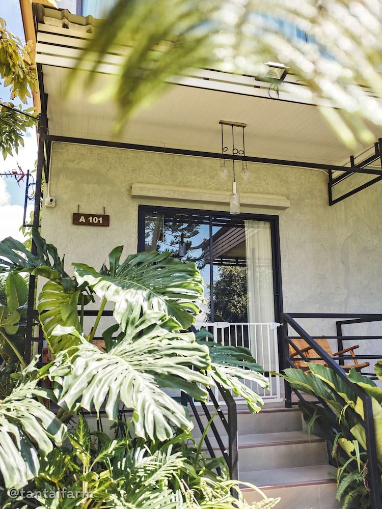 undefined Tantai Eco Farm Stay at Khao Yai 4