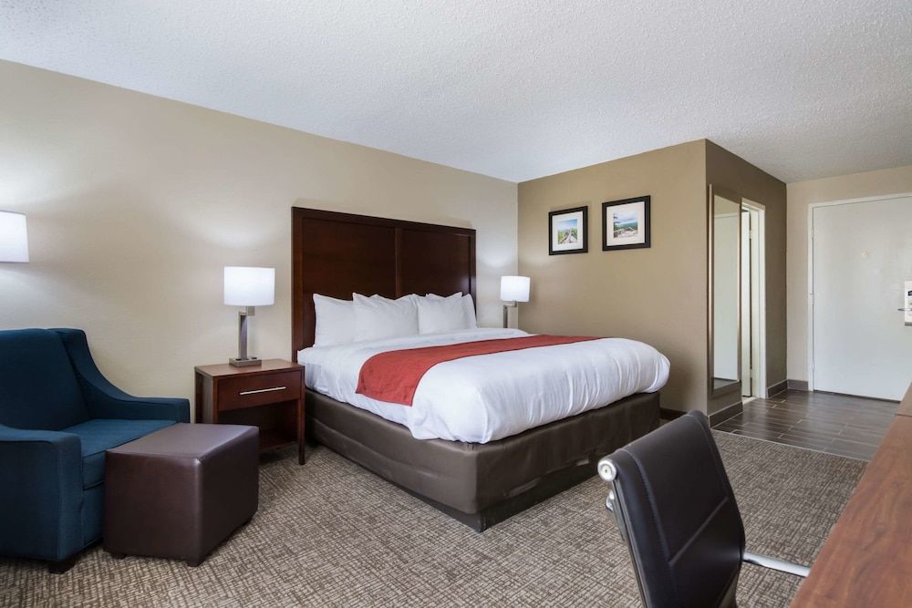 Standard Room, 1 King Bed, Non Smoking